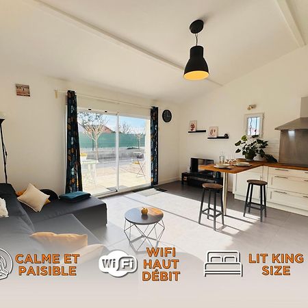 Appartement Le Cosy De La Ramee Tournefeuille Buitenkant foto
