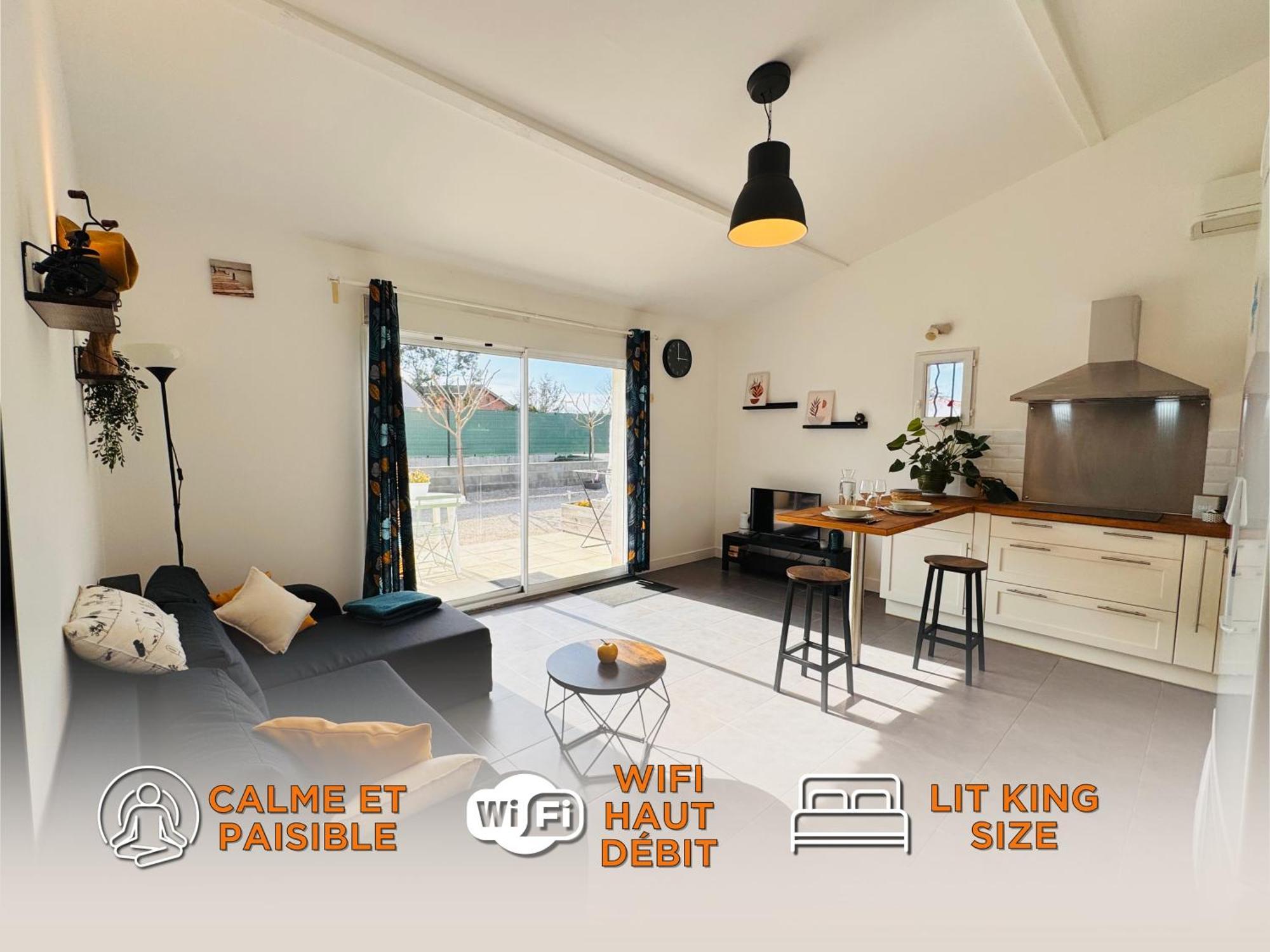 Appartement Le Cosy De La Ramee Tournefeuille Buitenkant foto